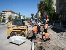 Rekabet yok, dayanışma var